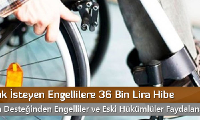 İş Kurmak İsteyen Engellilere 36 Bin Lira Hibe