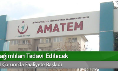 Madde Bağımlıları Tedavi Edilecek