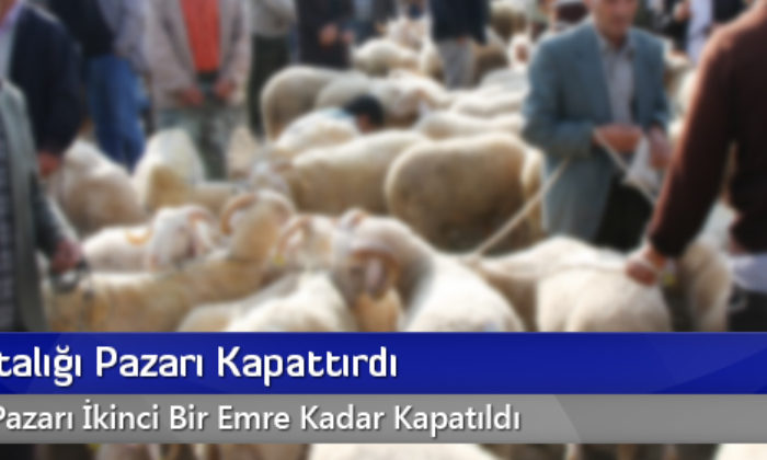 Şap Hastalığı Pazarı Kapattırdı