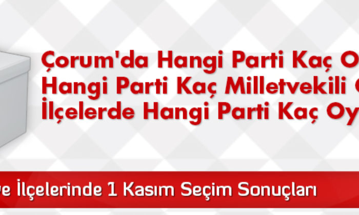1 Kasım Erken Seçim Sonuçları
