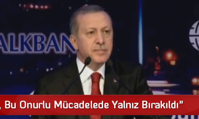 “Türkiye, Bu Onurlu Mücadelede Yalnız Bırakıldı”
