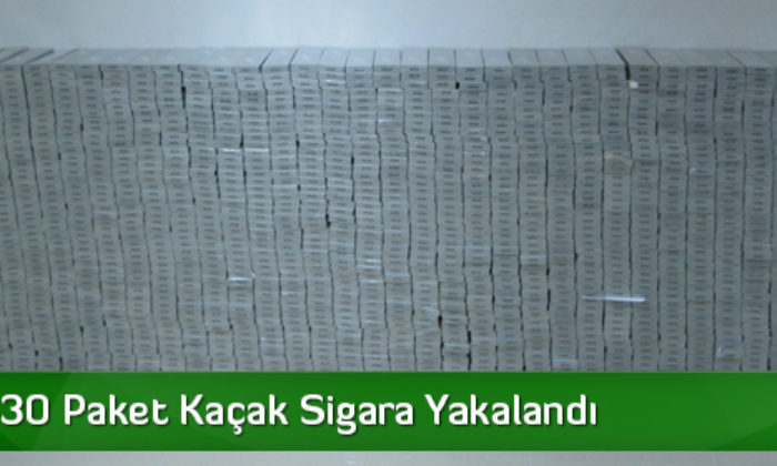 81 Bin 330 Paket Kaçak Sigara Yakalandı