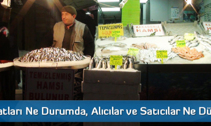 Balık Fiyatları Ne Durumda, Alıcılar ve Satıcılar Ne Düşünüyor?