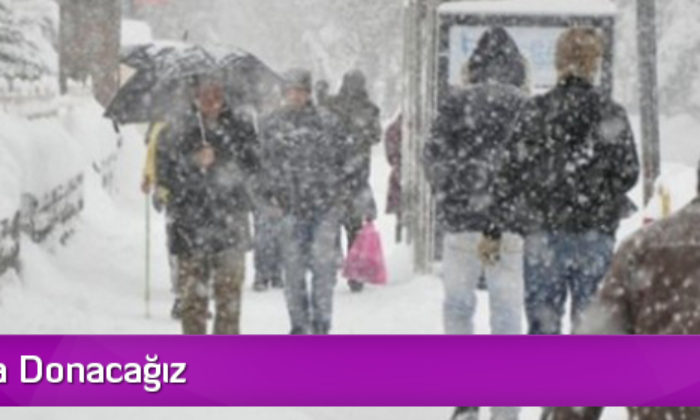 Bu Hafta Donacağız