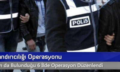 Çek Dolandırıcılığı Operasyonu