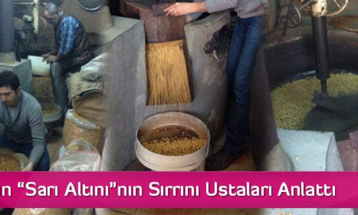 Çorum’un “Sarı Altını”nın Sırrını Ustaları Anlattı