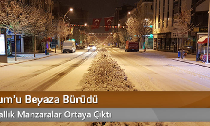 Kar, Çorum’u Beyaza Bürüdü