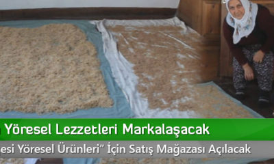 Kargı’nın Yöresel Lezzetleri Markalaşacak