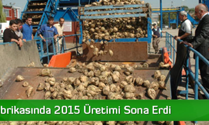 Şeker Fabrikasında 2015 Üretimi Sona Erdi