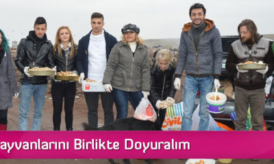 Sokak Hayvanlarını Birlikte Doyuralım