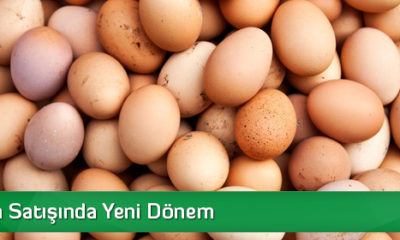Yumurta Satışında Yeni Dönem