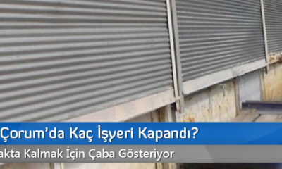 2015’te Çorum’da Kaç İşyeri Kapandı?