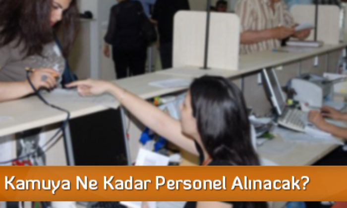 2016’da Kamuya Ne Kadar Personel Alınacak?