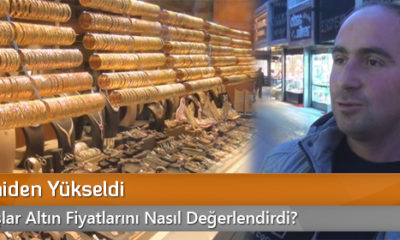 Altın Yeniden Yükseldi