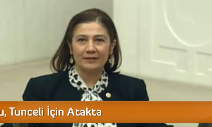 Ceritoğlu, Tunceli İçin Atakta