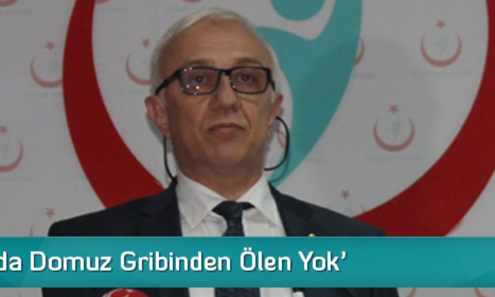 ‘Çorum’da Domuz Gribinden Ölen Yok’