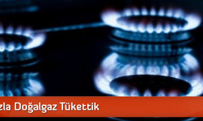 Daha Fazla Doğalgaz Tükettik