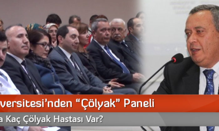 Hitit Üniversitesi’nden “Çölyak” Paneli