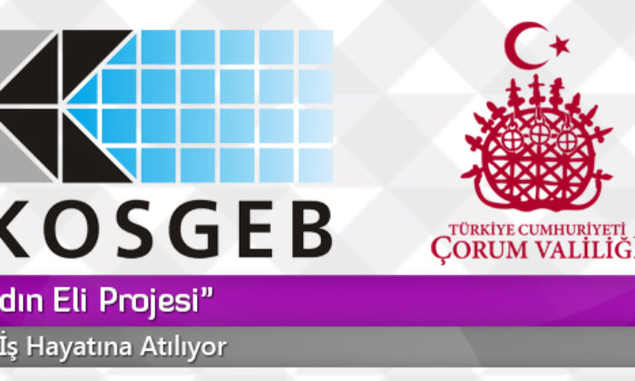 “İş’te Kadın Eli Projesi”