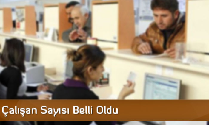 Kamuda Çalışan Sayısı Belli Oldu