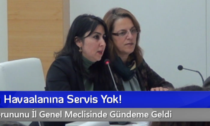 Merzifon Havaalanına Servis Yok!