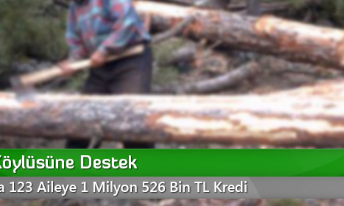 Orman Köylüsüne Destek