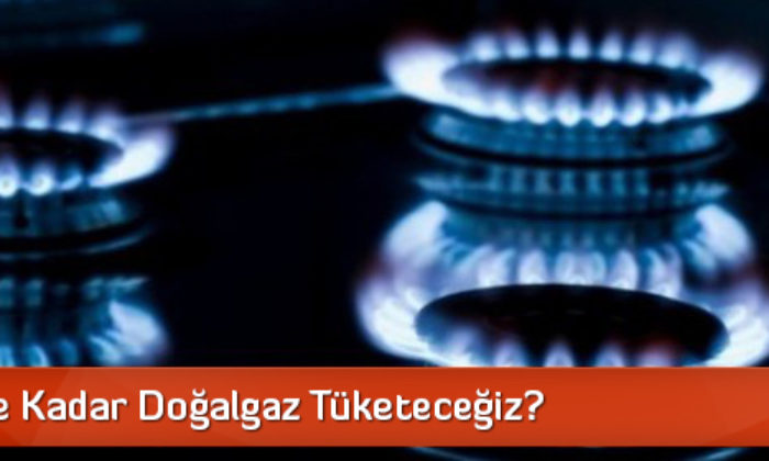 Bu Yıl Ne Kadar Doğalgaz Tüketeceğiz?