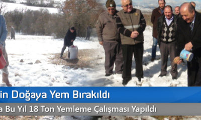 Çorum’da Yaban Hayvanları İçin Doğaya Yem Bırakılıyor
