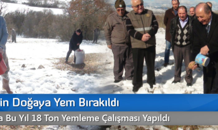Çorum’da Yaban Hayvanları İçin Doğaya Yem Bırakılıyor