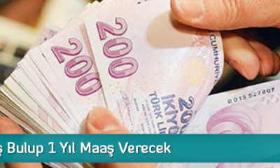 Devlet İş Bulup 1 Yıl Maaş Verecek