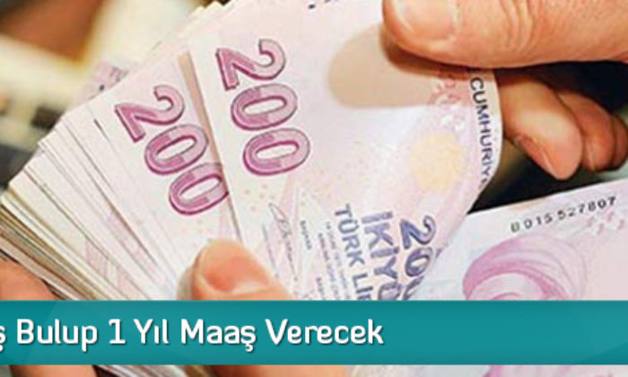 Devlet İş Bulup 1 Yıl Maaş Verecek