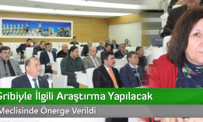 Domuz Gribiyle İlgili Araştırma Yapılacak