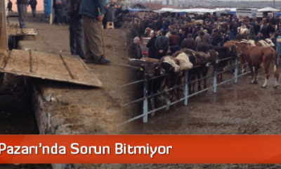 Hayvan Pazarı’nda Sorun Bitmiyor