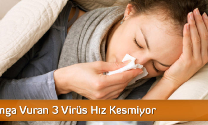 Kışa Damga Vuran 3 Virüs Hız Kesmiyor