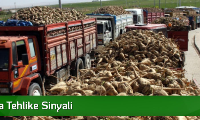 Pancarda Tehlike Sinyali