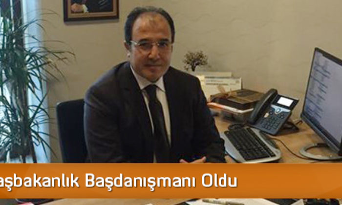 Bağcı, Başbakanlık Başdanışmanı Oldu