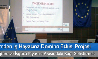 İlköğretimden İş Hayatına Domino Etkisi Projesi