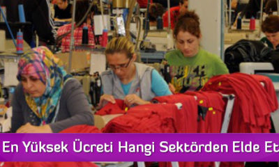 Kadınlar En Yüksek Ücreti Hangi Sektörden Elde Etti?