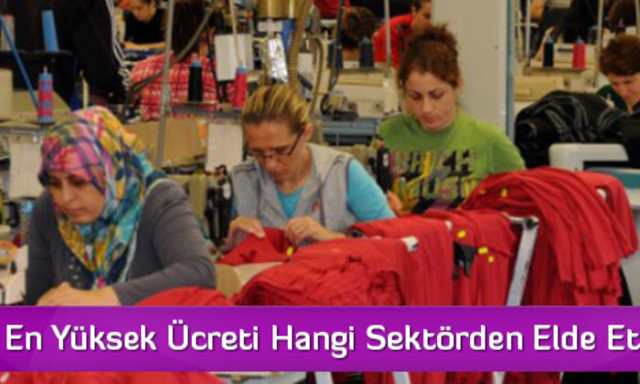 Kadınlar En Yüksek Ücreti Hangi Sektörden Elde Etti?