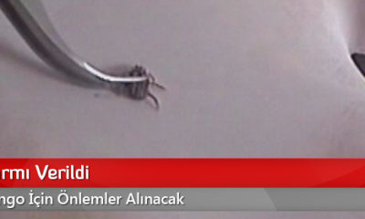 Kene Alarmı Verildi