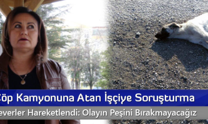 Köpeği Çöp Kamyonuna Atan İşçiye Soruşturma
