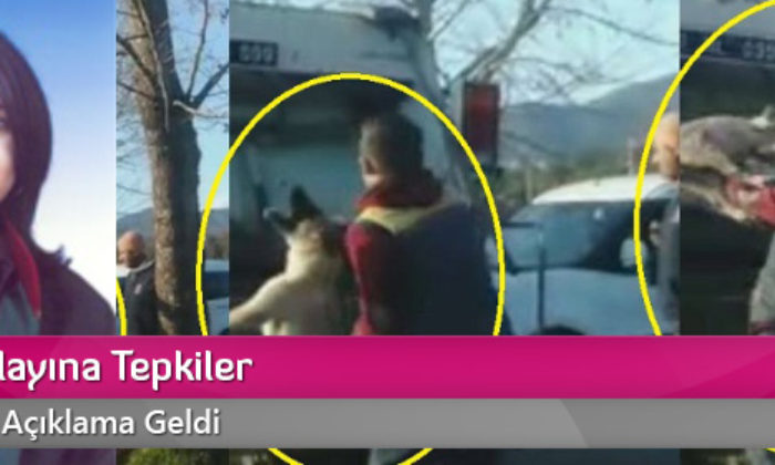 Köpek Olayına Tepkiler