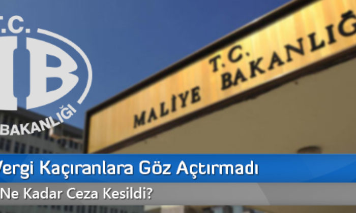Maliye, Vergi Kaçıranlara Göz Açtırmadı