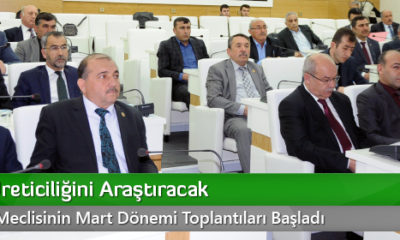 Manda Üreticiliğini Araştıracak