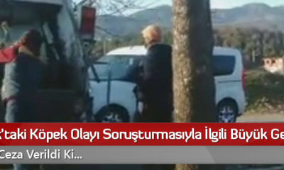 Osmancık’taki Köpek Olayı Soruşturmasıyla İlgili Büyük Gelişme!