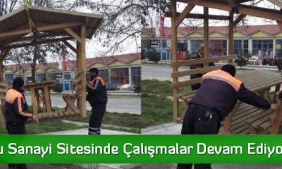 Sungurlu Sanayi Sitesinde Çalışmalar Devam Ediyor