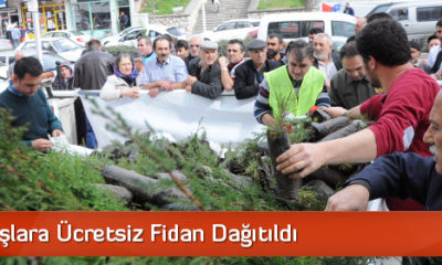 Vatandaşlara Ücretsiz Fidan Dağıtıldı