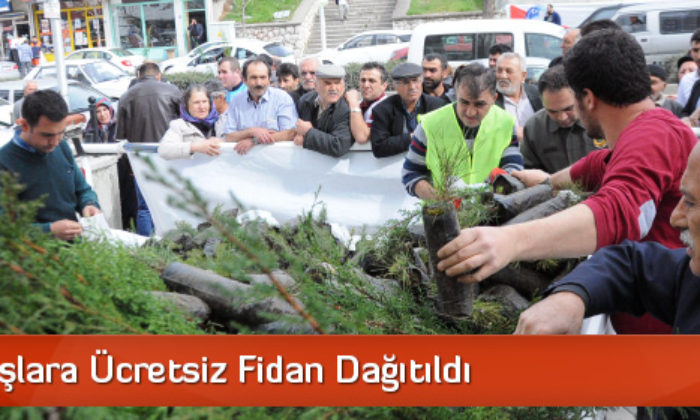 Vatandaşlara Ücretsiz Fidan Dağıtıldı