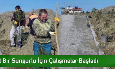 Yemyeşil bir Sungurlu için çalışmalar başladı