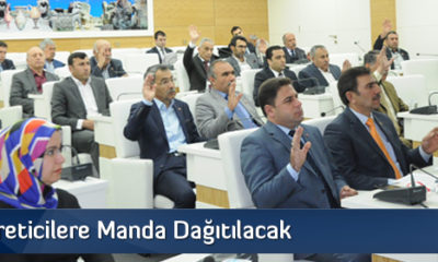 Kadın Üreticilere Manda Dağıtılacak